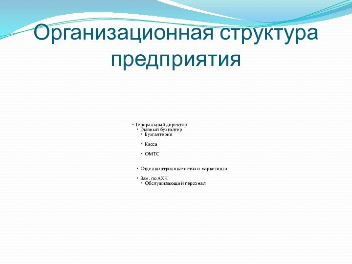 Организационная структура предприятия