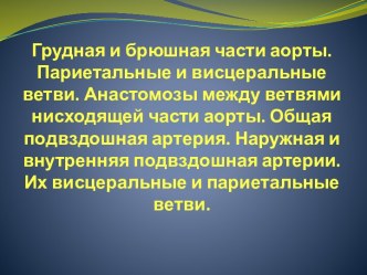 Грудная и брюшная части аорты