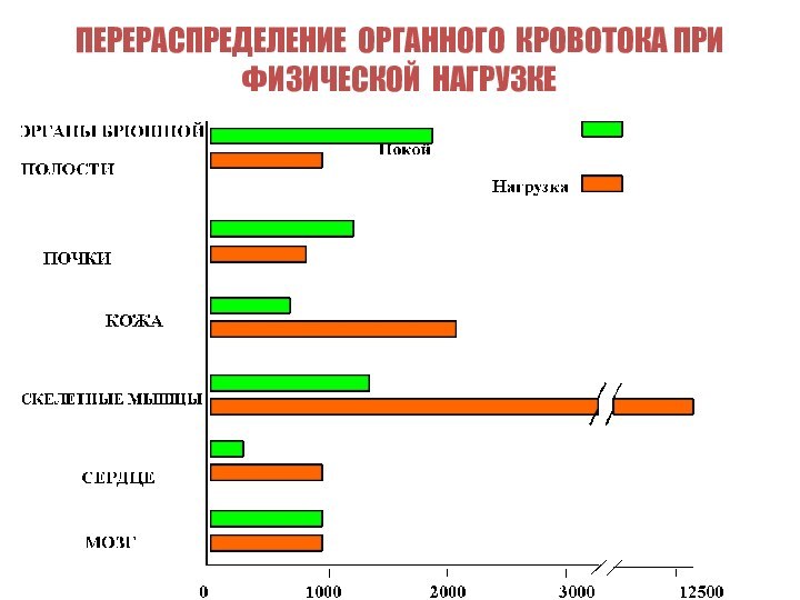 ПЕРЕРАСПРЕДЕЛЕНИЕ ОРГАННОГО КРОВОТОКА ПРИ ФИЗИЧЕСКОЙ НАГРУЗКЕ