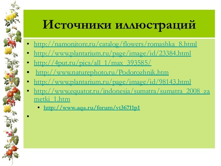 Источники иллюстрацийhttp://namonitore.ru/catalog/flowers/romashka_8.html http://www.plantarium.ru/page/image/id/23384.html http://4put.ru/pics/all_1/max_393585/ http://www.naturephoto.ru/Podorozhnik.htmhttp://www.plantarium.ru/page/image/id/98143.htmlhttp://www.equator.ru/indonesia/sumatra/sumatra_2008_zametki_1.htm http://www.aqa.ru/forum/vt36711p1