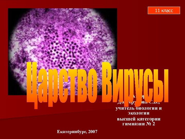 АвторДолгорукова С.В.,учитель биологии и экологиивысшей категории гимназии № 2Царство ВирусыЕкатеринбург, 200711 класс