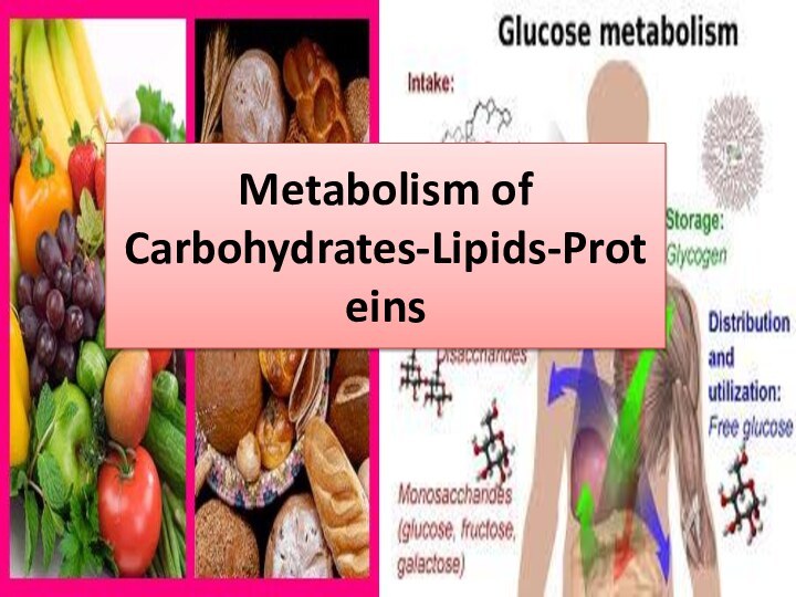 Metabolism of Carbohydrates-Lipids-Proteins