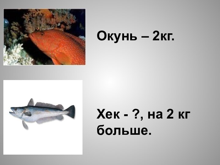 Окунь – 2кг.