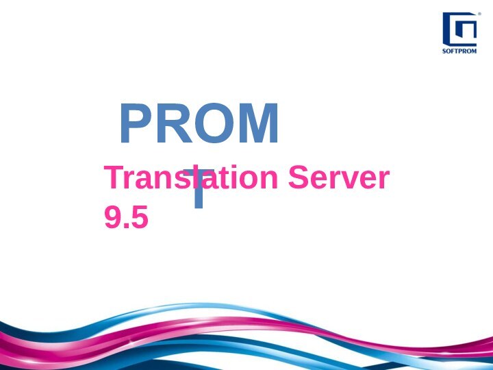 Translation Server 9.5