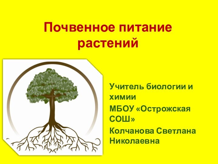 Почвенное питание растенийУчитель биологии и химии МБОУ «Острожская СОШ» Колчанова Светлана Николаевна