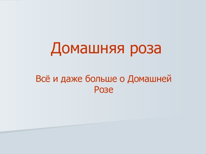 Домашняя розаВсё и даже больше о Домашней Розе