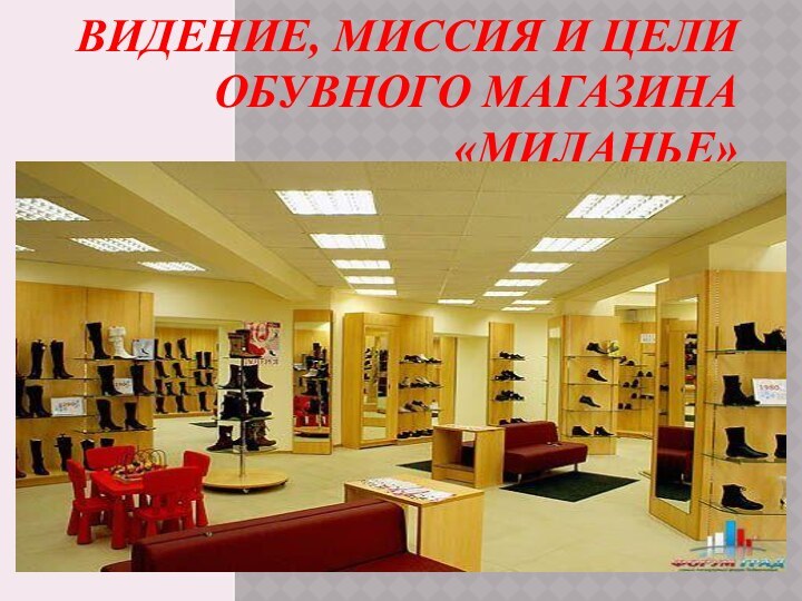 Видение, миссия и цели обувного магазина «Миланье»