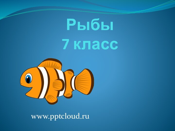 Рыбы  7 классwww.