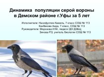 Популяция серой вороны в Демском районе г.Уфы