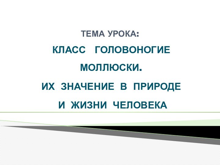 ТЕМА УРОКА:КЛАСС  ГОЛОВОНОГИЕ  МОЛЛЮСКИ. ИХ ЗНАЧЕНИЕ В ПРИРОДЕ И ЖИЗНИ ЧЕЛОВЕКА