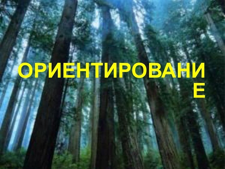 ориентирование