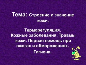 Строение и значение кожи