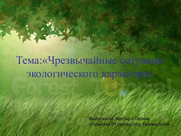 Тема:«Чрезвычайные ситуации экологического характера»Выполнила: Костыря Галинастудентка 31 группы отд. биоэкологии