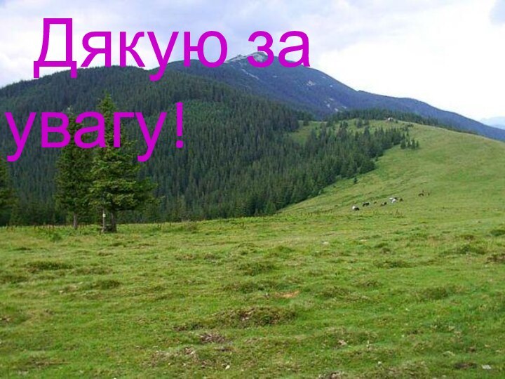 Дякую за увагу!