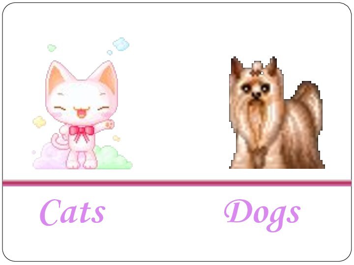 CatsDogs