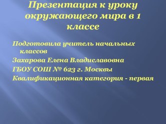 Почему Солнце светит днём, а звёзды-ночью?