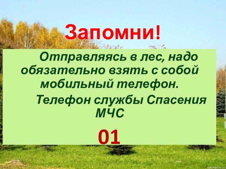 Запомни!    Отправляясь в лес, надо обязательно взять с собой