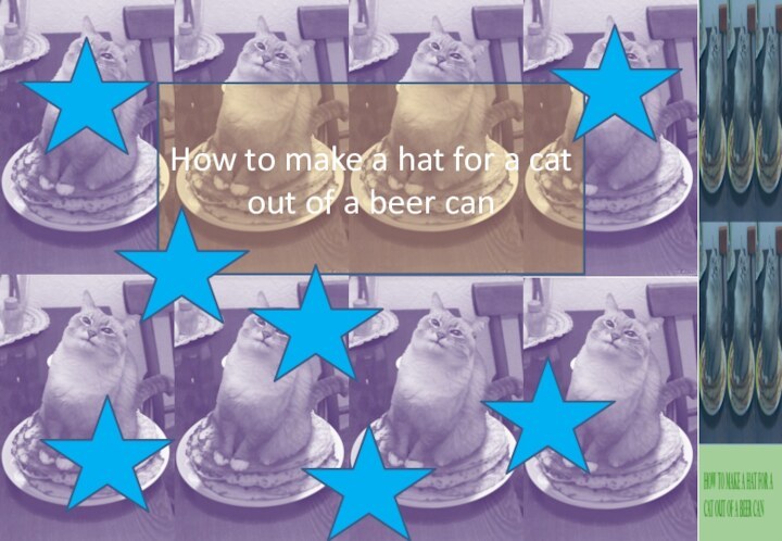 How to make a hat for a cat out of a beer can