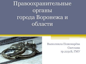 Правоохранительные органы города Воронежа и области