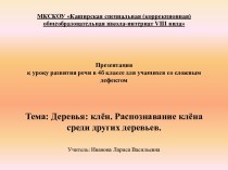 Клён. Распознавание клёна среди других деревьев