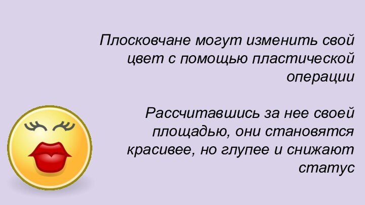 Плосковчане могут изменить свой цвет с помощью пластической операции Рассчитавшись за нее