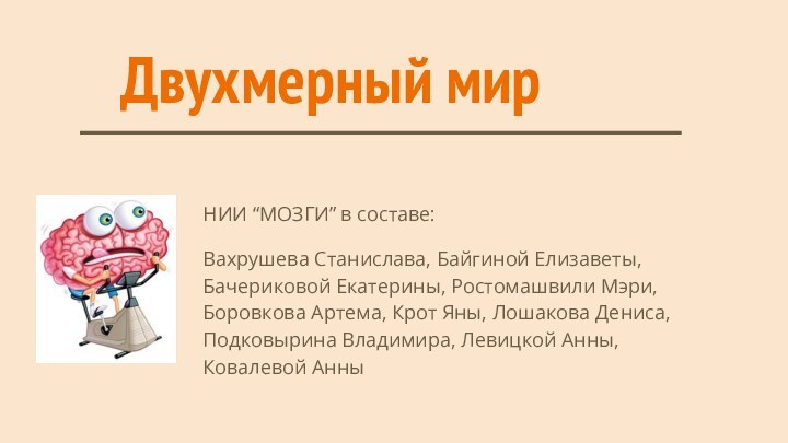 Двухмерный мирНИИ “МОЗГИ” в составе:Вахрушева Станислава, Байгиной Елизаветы,  Бачериковой Екатерины, Ростомашвили