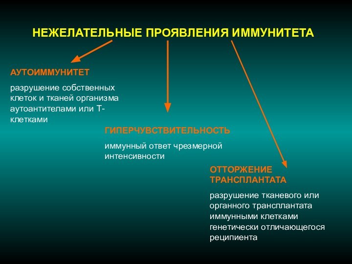 НЕЖЕЛАТЕЛЬНЫЕ ПРОЯВЛЕНИЯ ИММУНИТЕТААУТОИММУНИТЕТ разрушение собственных клеток и тканей организма аутоантителами или Т-клетками