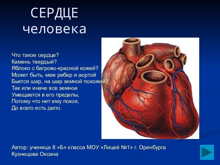 СЕРДЦЕ человекаЧто такое сердце?Камень твердый?Яблоко с багрово-красной кожей?Может быть, меж ребер и