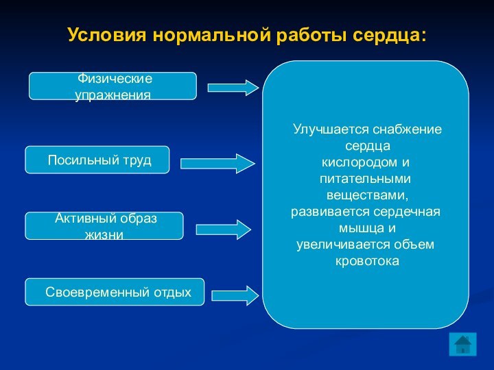 Условия нормальной работы сердца: Физические упражнения Посильный труд Активный образ жизни Своевременный