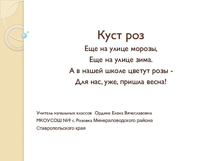 Куст розЕще на улице морозы,Еще на улице зима.А в нашей школе цветут