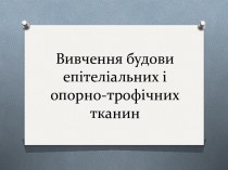 Вивчення будови епітеліальних і опорно-трофічних тканин