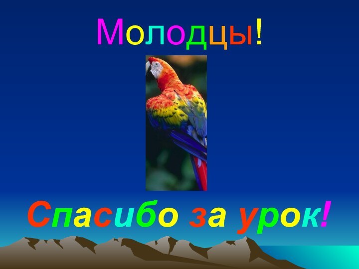 Молодцы!Спасибо за урок!