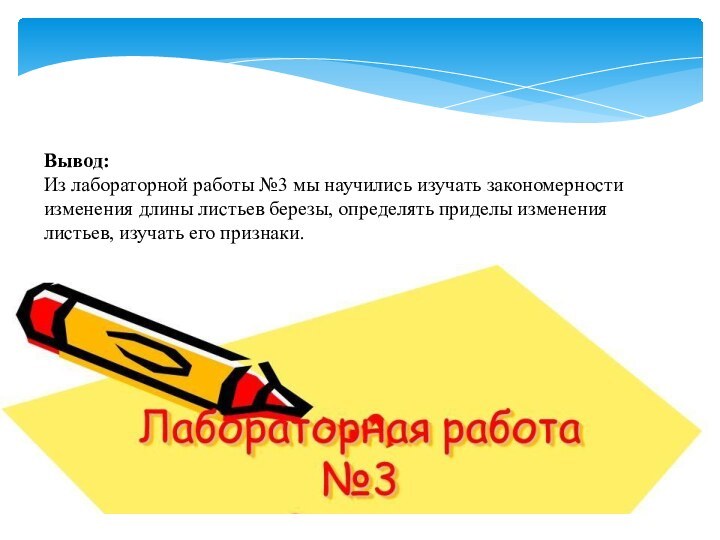 Вывод:Из лабораторной работы №3 мы научились изучать закономерности изменения длины листьев березы,