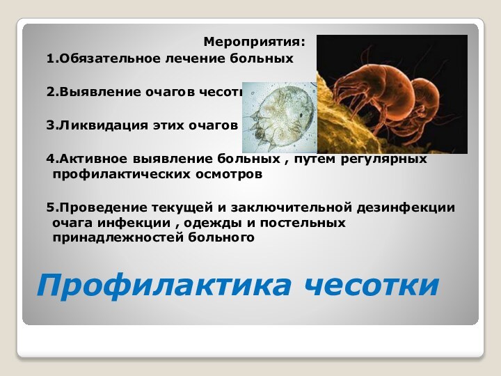 Профилактика чесоткиМероприятия: 1.Обязательное лечение больных 2.Выявление очагов чесотки 3.Ликвидация этих очагов 4.Активное