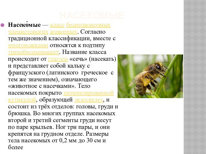 насекомые Насеко́мые — класс беспозвоночных членистоногих животных. Согласно традиционной классификации, вместе с многоножками