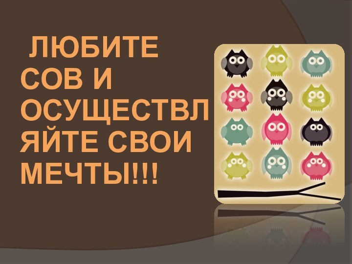 Любите сов и осуществляйте свои мечты!!!