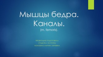 Мышцы бедра. Каналы.(m. femoris).