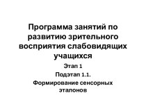 Программа занятий по развитию зрительного восприятия слабовидящих учащихся