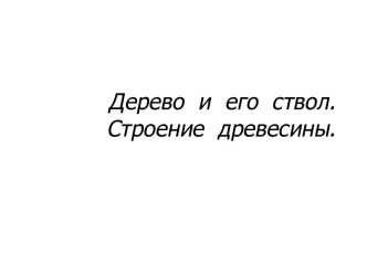 Дерево  и  его  ствол.Строение  древесины.