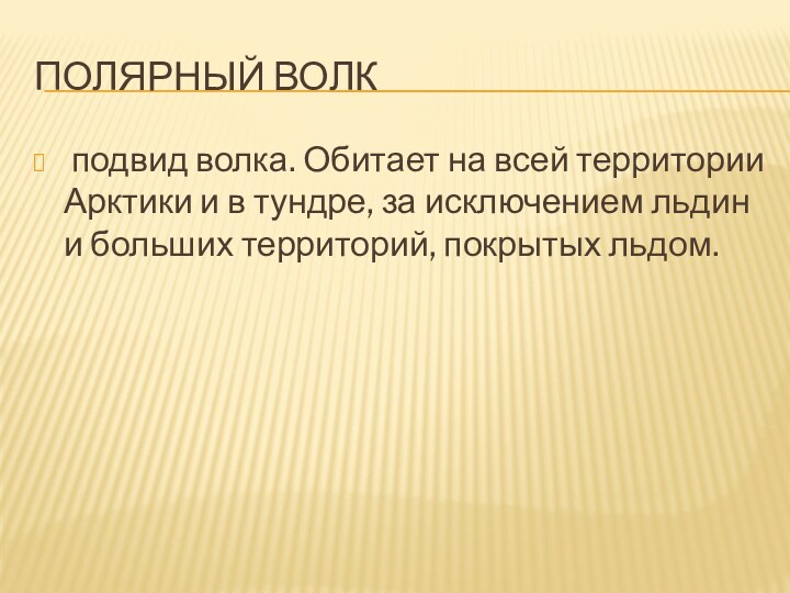 Полярный волк подвид волка. Обитает на всей территории Арктики и в тундре,