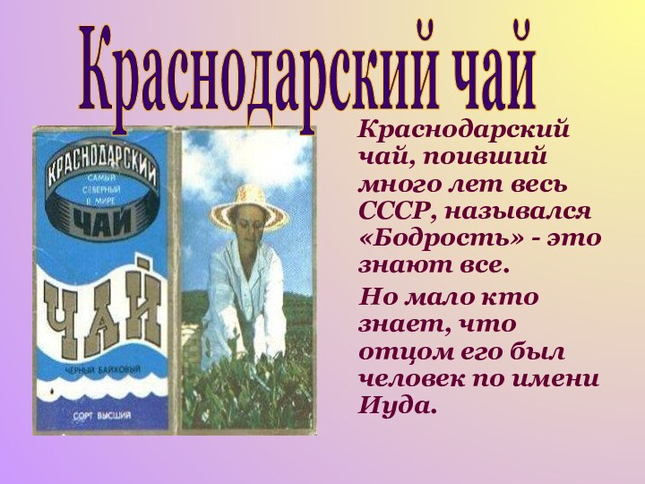 Краснодарский чай, поивший много лет весь СССР, назывался «Бодрость» -