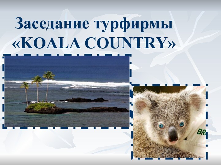 Заседание турфирмы «KOALA COUNTRY»