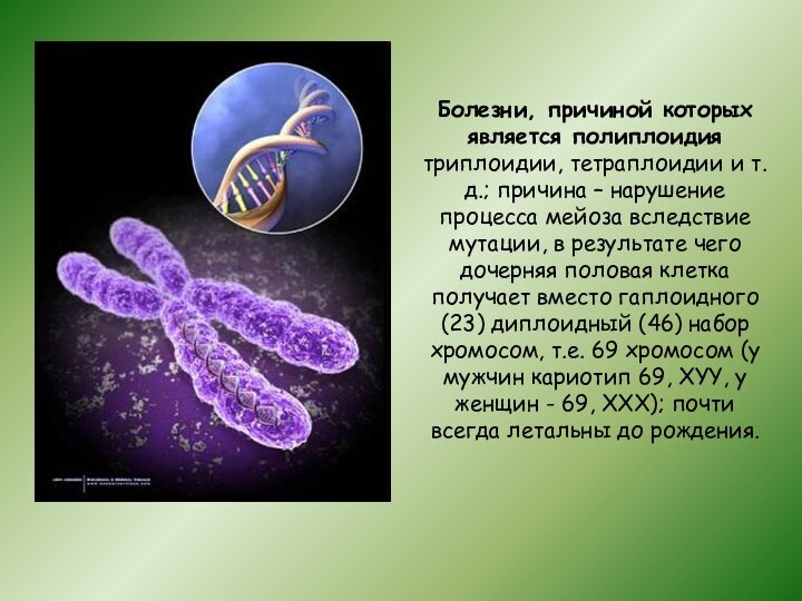 Болезни, причиной которых является полиплоидиятриплоидии, тетраплоидии и т. д.; причина – нарушение