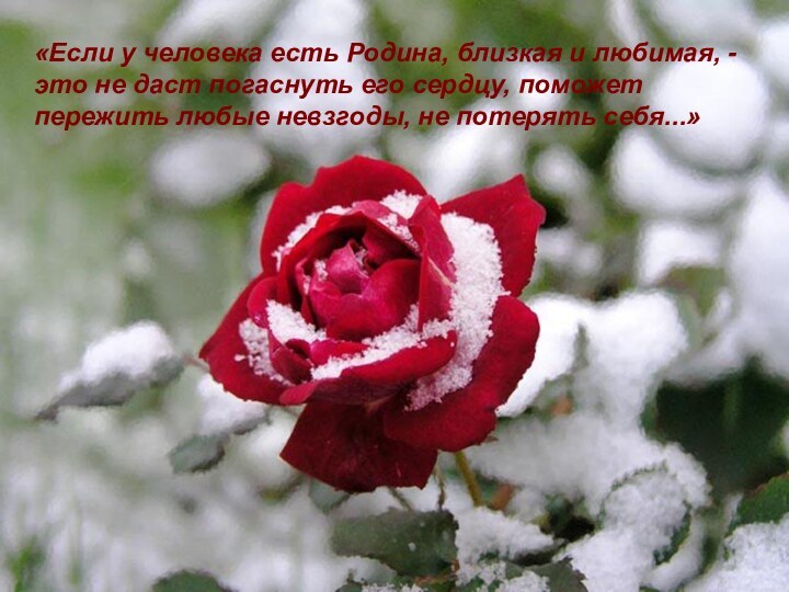 «Если у человека есть Родина, близкая и любимая, - это не