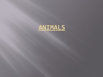 Animals