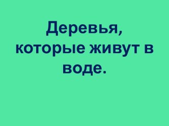 Деревья, которые живут в воде