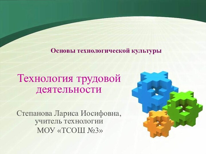 Основы технологической культурыТехнология трудовой деятельностиСтепанова Лариса Иосифовна, учитель технологии МОУ «ТСОШ №3»