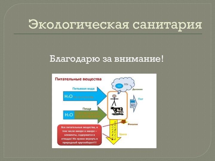 Экологическая санитарияБлагодарю за внимание!