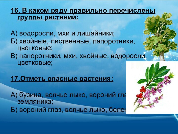 16. В каком ряду правильно перечислены группы растений:А) водоросли, мхи и лишайники;Б)