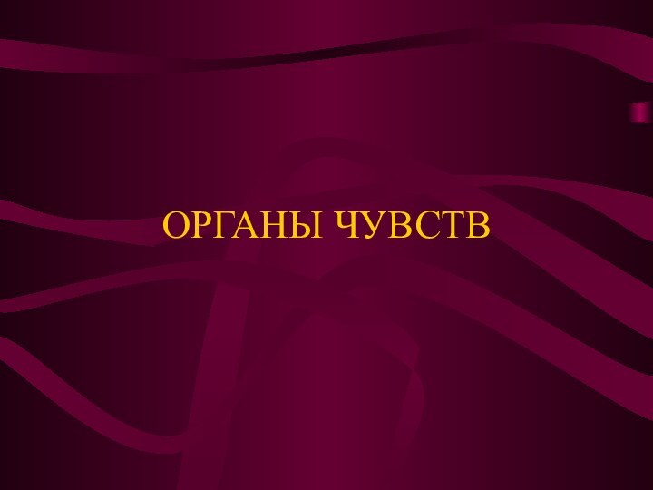 ОРГАНЫ ЧУВСТВ